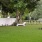 large fenced-in dog park